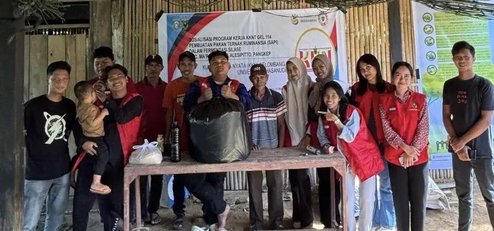 Mahasiswa KKN Unhas Ajak Peternak Desa Alesipitto Buat Silase