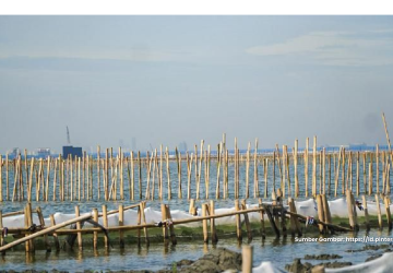 Proyek Pagar Laut Tak Jelas, Nelayan Tangerang Kesulitan Mengakses Laut