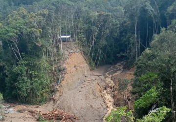 Banjir Bandang Pegunungan Arfak: 15 Korban Ditemukan, Pencarian Diperluas di Medan Ekstrem