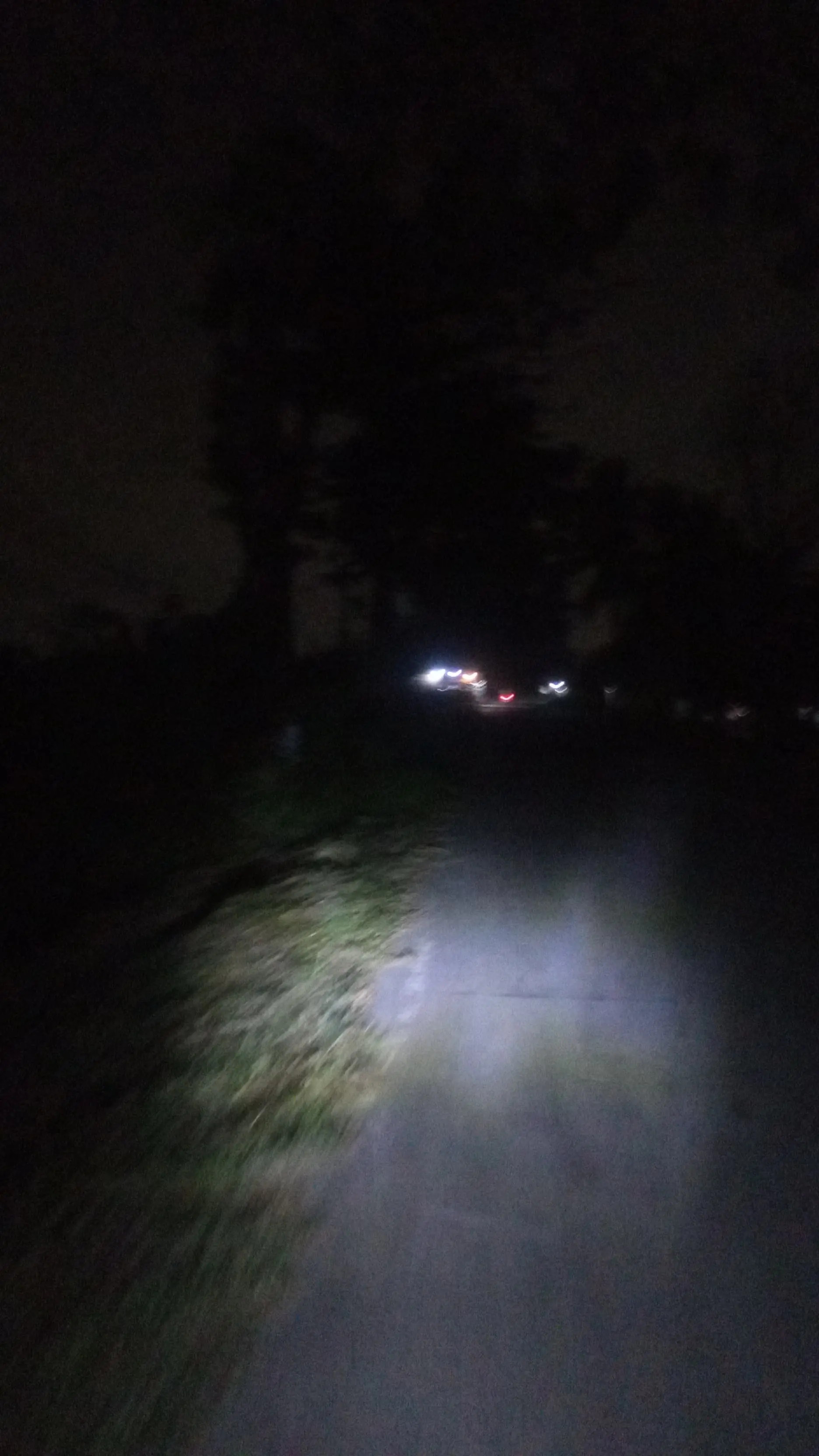 IMG-20250325-WA0108