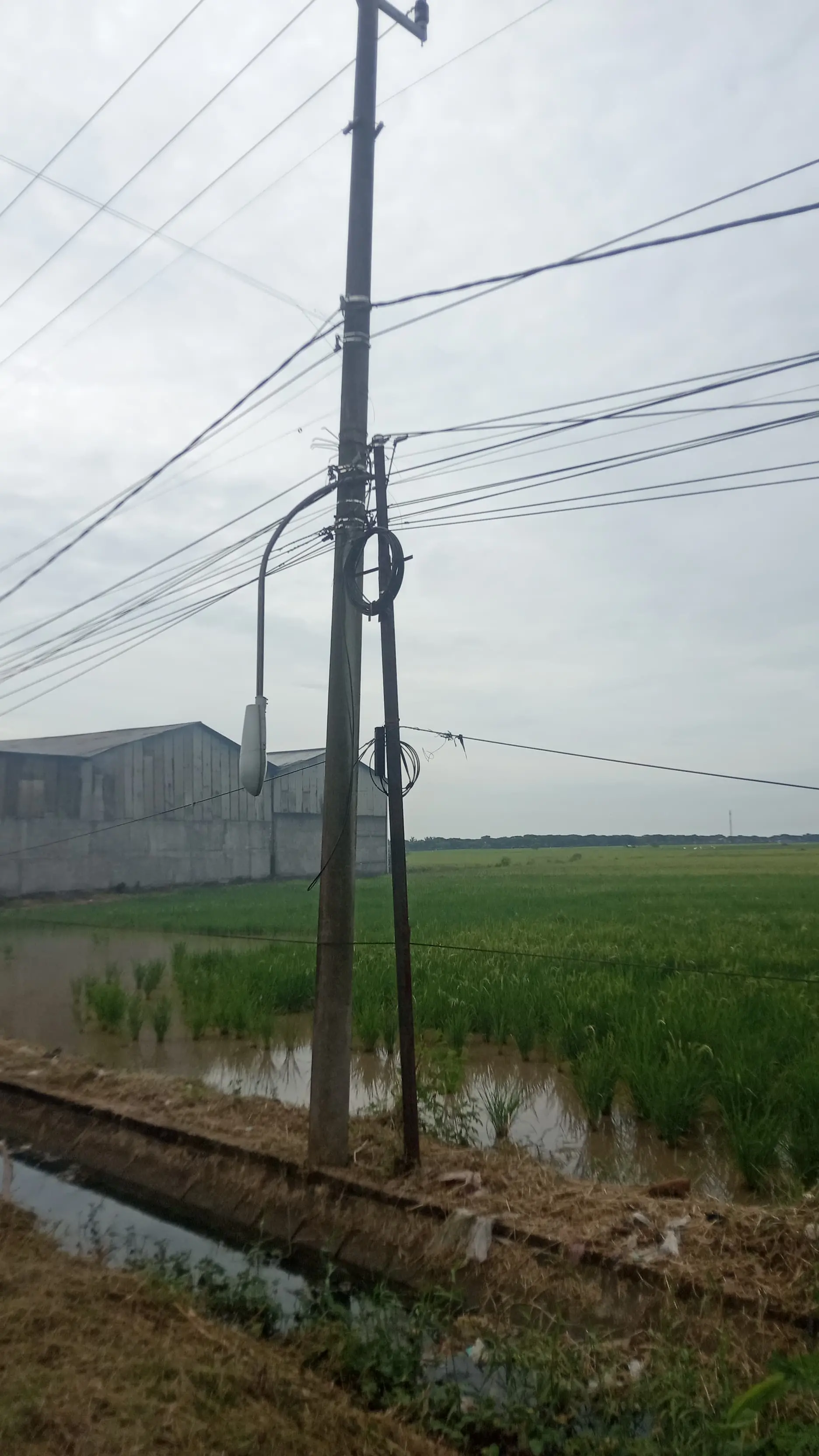 Kawan Muda 17 Kecamatan Kemiri, Soroti PJU Mati di Jalan Ir. Sutami, Mauk-Keronjo