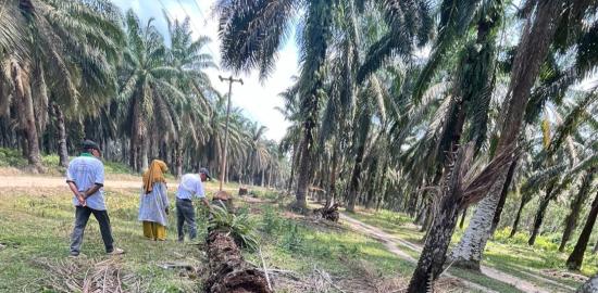 PT. Haleyora Power Diduga Langgar UU No. 30 Tahun 2009