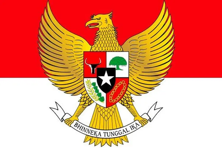 Kepala BBKSDA Papua Barat Daya : Pemusnahan Cendrawasih Opset dan Mahkota Cendrawasih Murni Penegakan Hukum