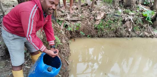 Presiden Bantu Bibit dan Pakan Lele Untuk Pemuda Papua