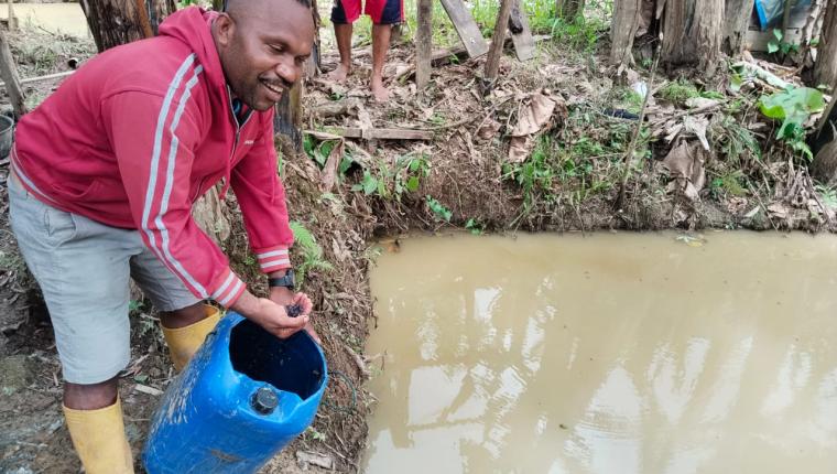 Presiden Bantu Bibit dan Pakan Lele Untuk Pemuda Papua