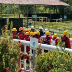 Jadi Destinasi Favorit untuk Menimba Ilmu, Pertamina EP Papua Field Terima Kuliah Lapangan Mahasiswa UNIPA