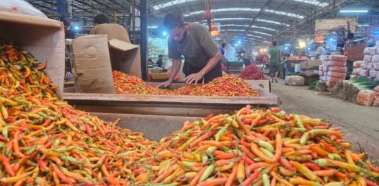 Kementan Salurkan 1,7 Ton Cabai ke PIKJ, Jaga Stabilitas Harga Jelang Ramadan