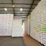 Ketahanan Pangan Indonesia Menguat di Tengah Ketidakpastian Global