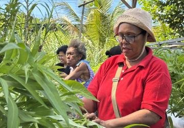 Sinergi SKK Migas-Pertamina EP Papua, Dukung Ketahanan Pangan Di Kampung Maladuk