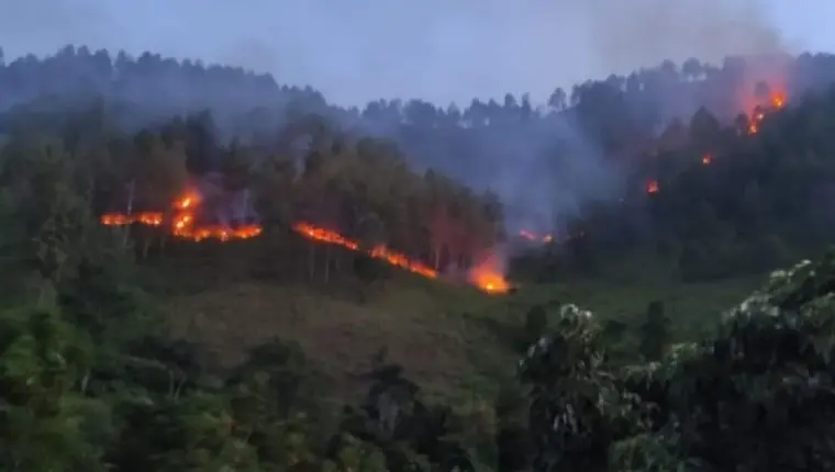 Polres Humbahas Selidiki Kebakaran Lahan yang Tewaskan Seorang Petani