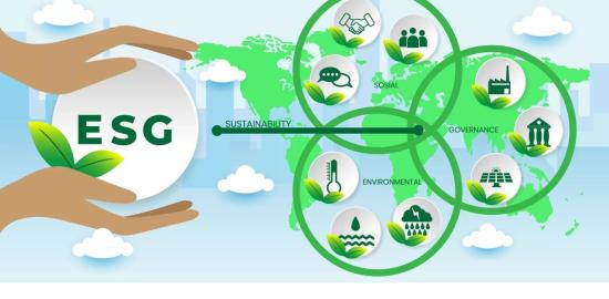 Peraturan dan Standar ESG di Indonesia dan Global