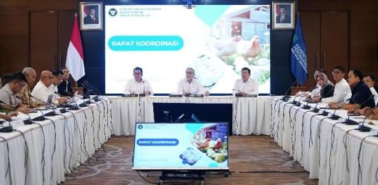 Buka Rakor Pasokan Daging Ayam, Mendag Pastikan Harga Stabil dan Pasokan Cukup di HBKN