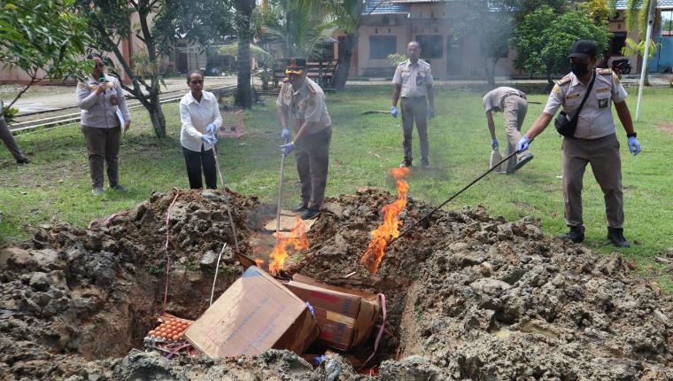 Pertahankan Papua Barat Daya Bebas Penyakit, Karantina Musnahkan Komoditas Tanpa Dokumen