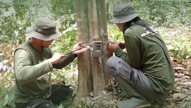 Menelusuri Jejak Macan Tutul Jawa di Rimba Raung-Ijen