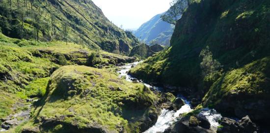 Menteri Kehutanan Beri Arahan Tentang Kesiapsiagaan dan Persiapan Libur Lebaran Tahun 2025/1446 H