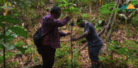 PT Gag Nikel Buat Inovasi Teknologi Modern untuk Konservasi Lingkungan dan Pemberdayaan Masyarakat di Pulau Gag