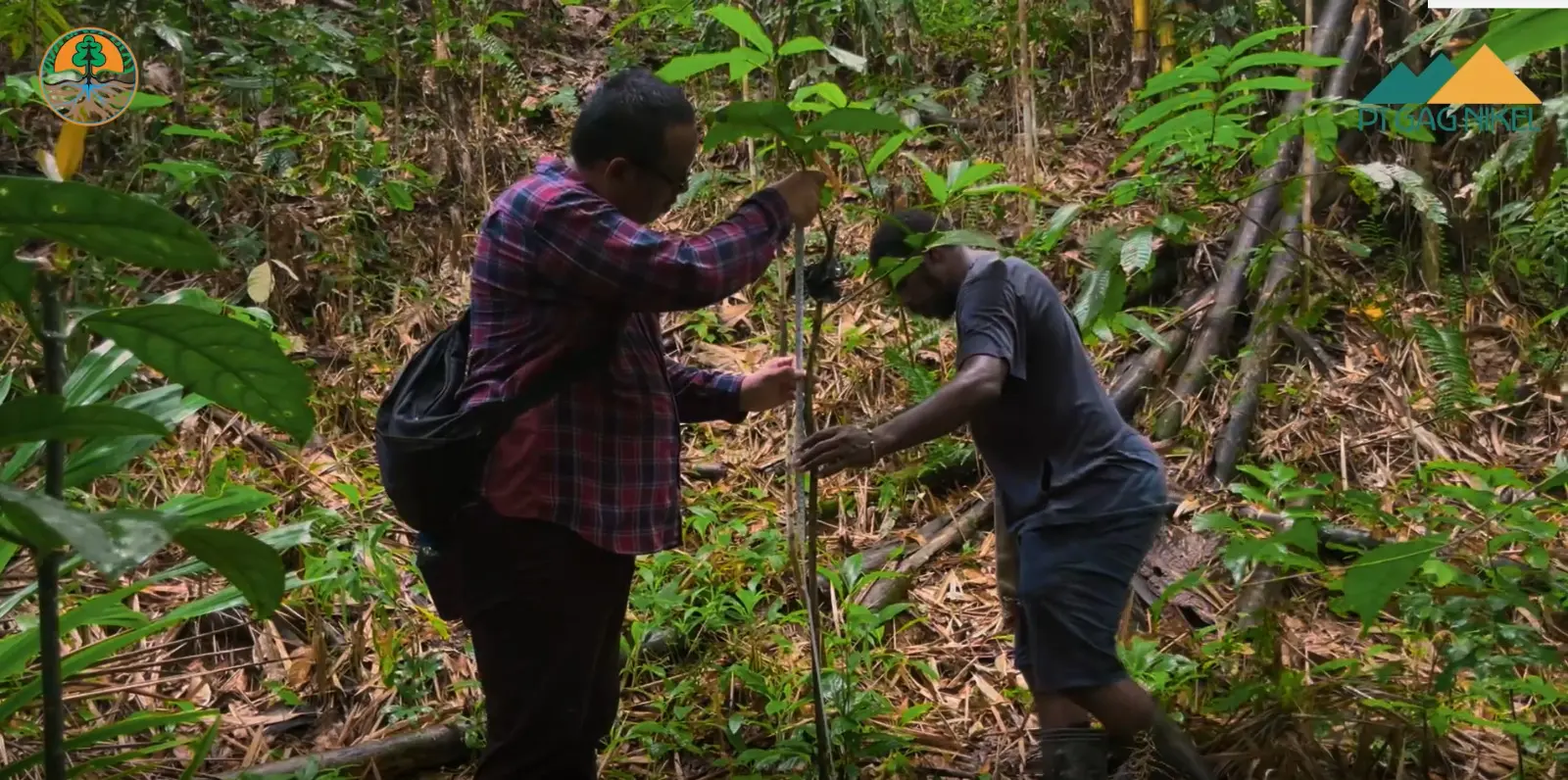 PT Gag Nikel Buat Inovasi Teknologi Modern untuk Konservasi Lingkungan dan Pemberdayaan Masyarakat di Pulau Gag