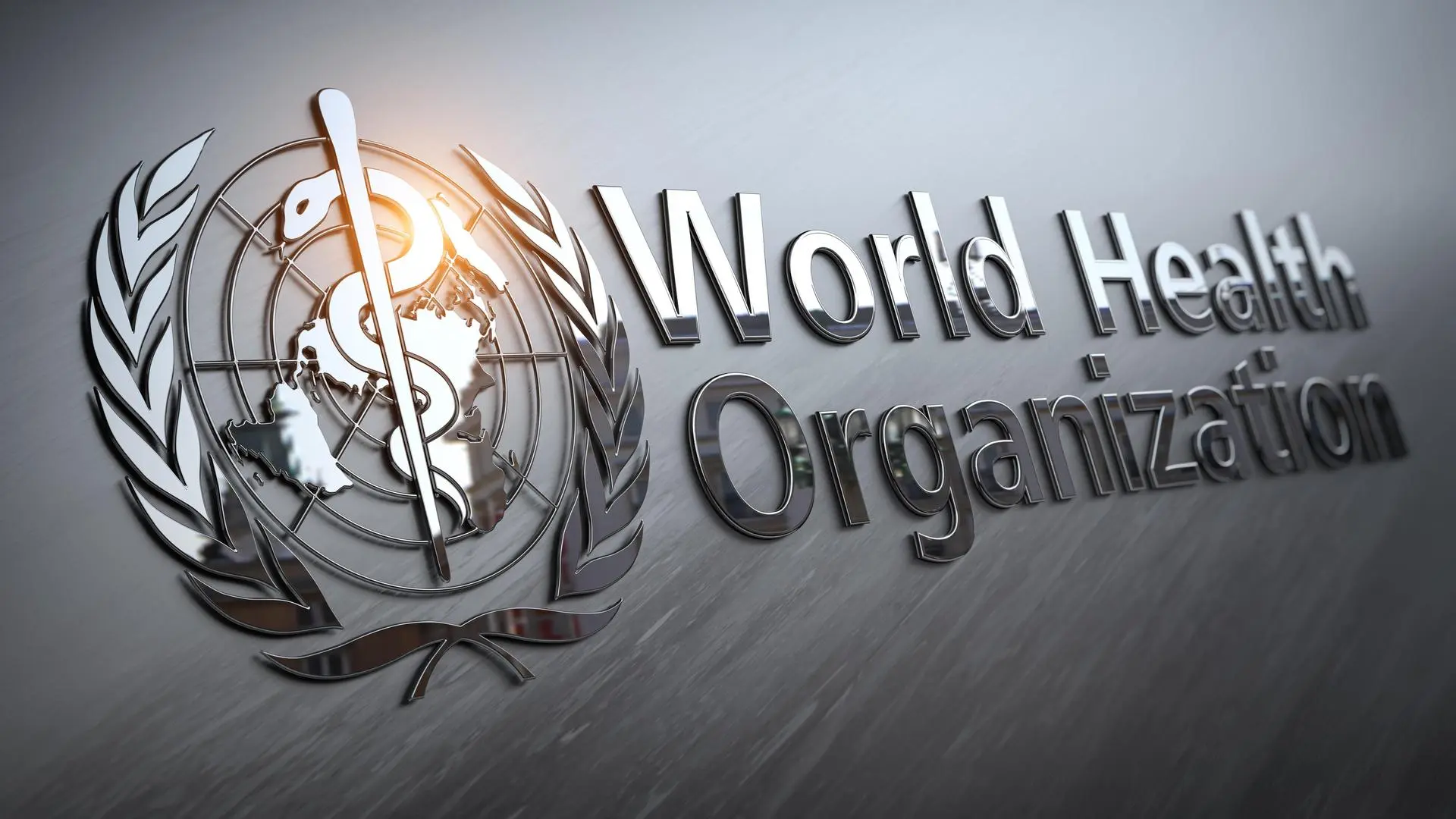 WHO Memimpin Inovasi Riset Kesehatan Ibu dan Perinatal di Era Pandemi Global