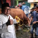 Rano Serahkan Sapi Kurban Bagi Warga Tangki