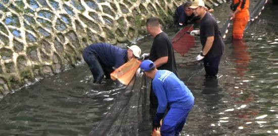 Pemprov DKI Intensifkan Pengerukan Sungai dan Pengendalian Ikan Sapu-Sapu