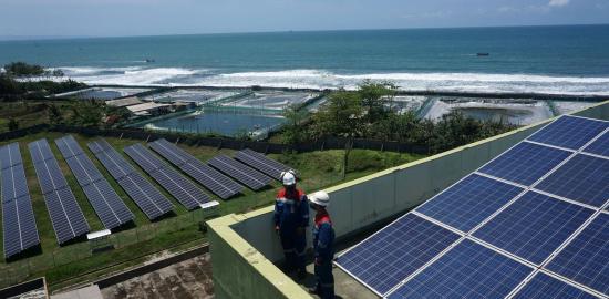 PLN Sukses Turunkan Tingkat Risiko ESG Menjadi 30,3