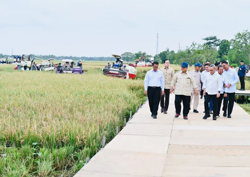 Hanya Butuh Setahun, Presiden Prabowo Deklarasikan Indonesia Berhasil Capai Swasembada Pangan