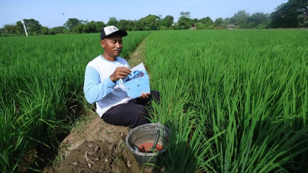 Dari Pangan hingga Investasi, Presiden Prabowo Sampaikan Delapan Agenda Prioritas RAPBN 2026