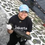 Pemprov DKI Gelar Rapat Khusus Basmi Ikan Sapu-Sapu