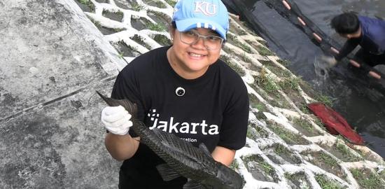 Pemprov DKI Gelar Rapat Khusus Basmi Ikan Sapu-Sapu