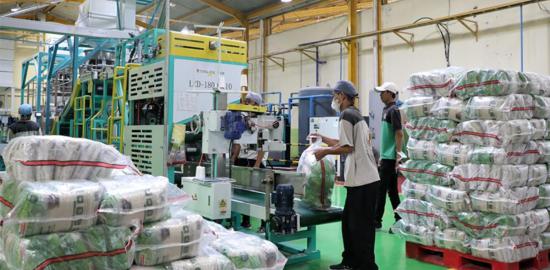 BUMD Pangan Jakarta Diharapkan Jadi Penjaga Stabilitas Harga di Tengah Ancaman El Nino