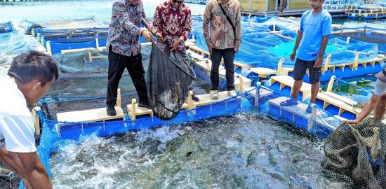 Penguatan Monitoring Budi Daya Perikanan di Pulau Tidung