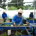 BRI Luncurkan Program BRInita untuk Pemberdayaan Perempuan di Jawa Barat