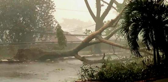 BMKG Imbau Warga Waspada Terhadap Fenomena Hujan Es di Bandung