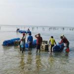 2.671 Substrat Karang di Kepulauan Seribu Pulihkan Ekosistem Pesisir