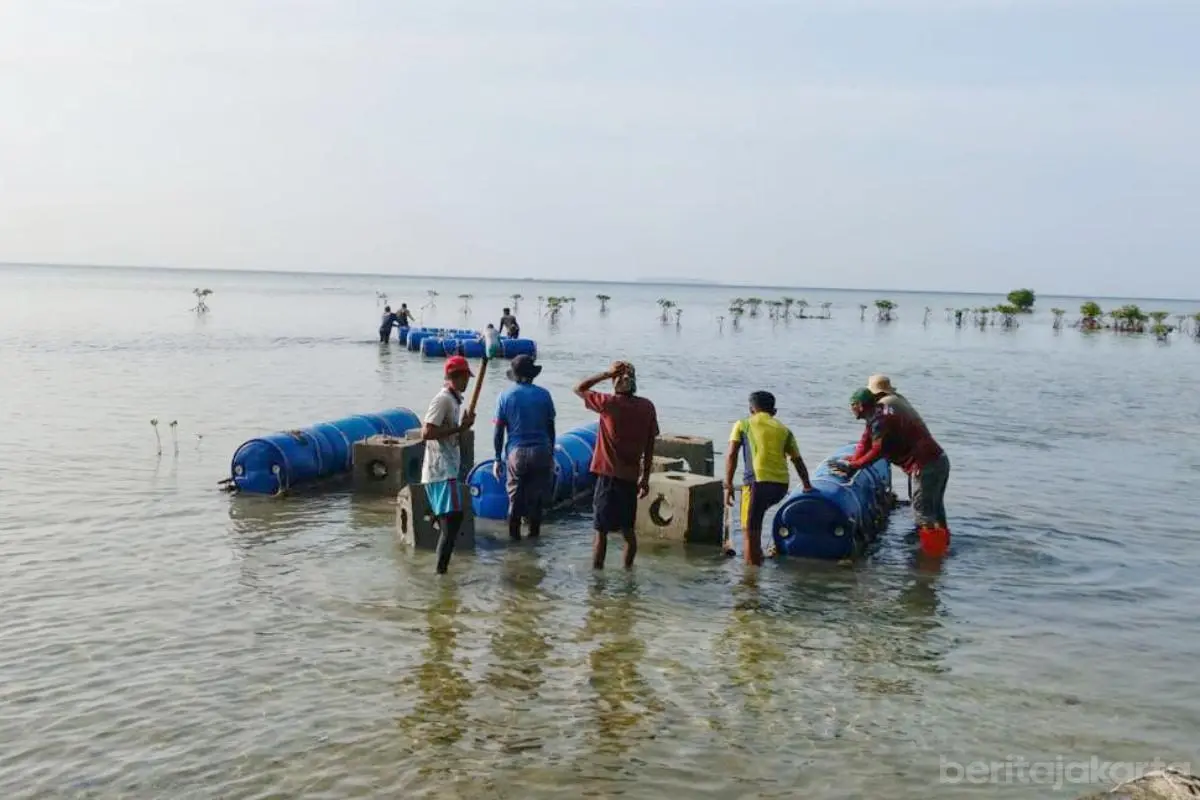2.671 Substrat Karang di Kepulauan Seribu Pulihkan Ekosistem Pesisir