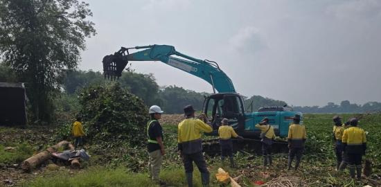 Upaya Kolaboratif Atasi Pertumbuhan Eceng Gondok di Waduk Saguling