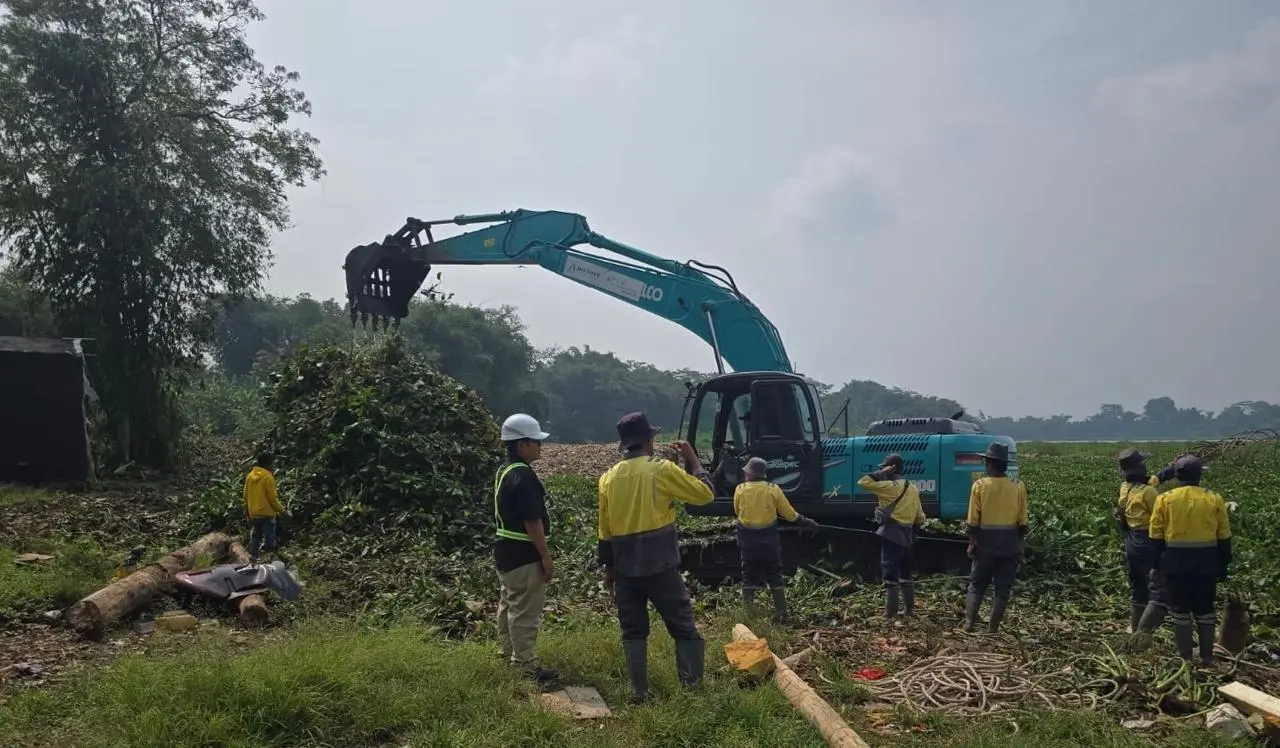 Upaya Kolaboratif Atasi Pertumbuhan Eceng Gondok di Waduk Saguling