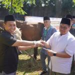 PWNU DKI Percayakan Pemotongan Hewan Kurban di Dharma Jaya