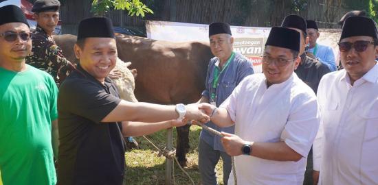 PWNU DKI Percayakan Pemotongan Hewan Kurban di Dharma Jaya