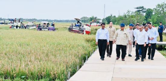 Gebrakan Setahun Menjabat, Presiden Prabowo Deklarasikan Indonesia Swasembada Pangan 2025