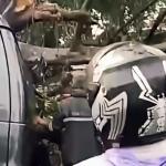 Pohon Tumbang di Bandung, Pengemudi Tewas Terjebak di Dalam Mobil