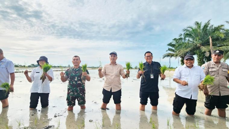 Dorong Keberlanjutan Program Oplah: Kementan Terus Ajak Petani Lakukan Tanam