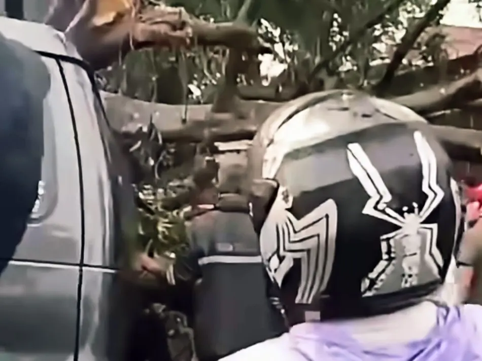 Pengemudi Tewas Terjebak di Mobil Akibat Pohon Tumbang di Bandung