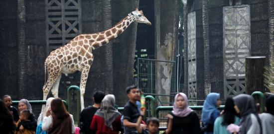 TMR Adakan Promo Masuk Gratis Peringati HUT ke-499 Jakarta