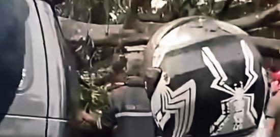 Pohon Tumbang di Bandung, Pengemudi Tewas Terjebak di Mobil