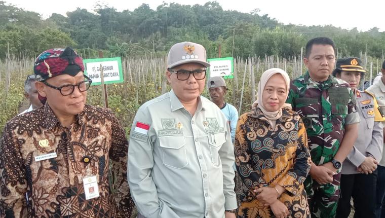 Wamentan Akan Terus Meningkatkan SDM dalam Transformasi Teknologi untuk Akselerasi Pertanian di Sorong