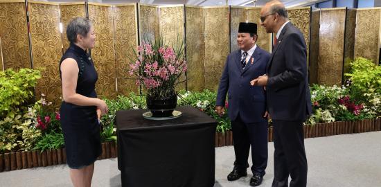 Presiden Prabowo Beri Nama Anggrek “Paraphalante Dora Sigar Soemitro” saat Kunjungan Kenegaraan di Singapura