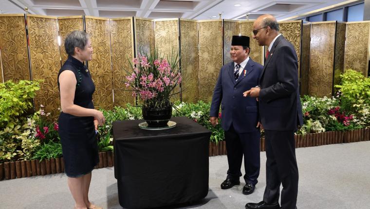 Presiden Prabowo Beri Nama Anggrek “Paraphalante Dora Sigar Soemitro” saat Kunjungan Kenegaraan di Singapura
